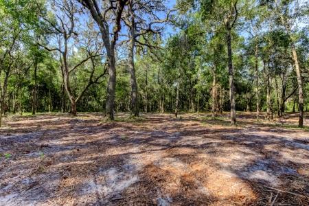 14004 Peace Blvd, Spring Hill, Florida 34610, USA