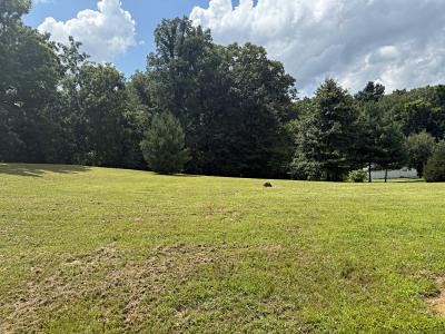 N US Highway 231, Odon, Indiana 47562