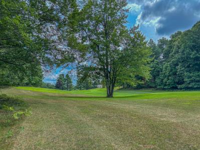 9384 E Circle Drive, Canadian Lakes, Michigan 49346, États-Unis