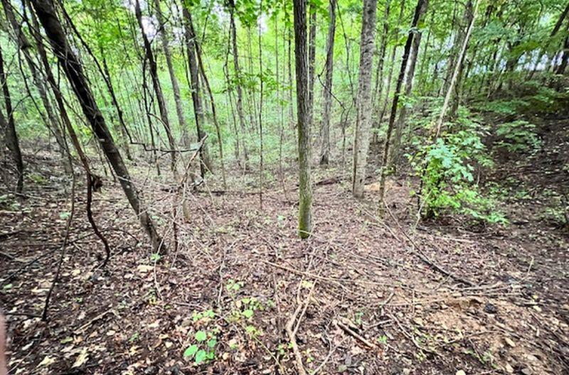 3.78 Acres Flicker Way, Athens, Alabama 35614, Stati Uniti