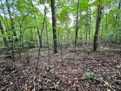3.78 Acres Flicker Way, Athens, Alabama 35614, Stati Uniti