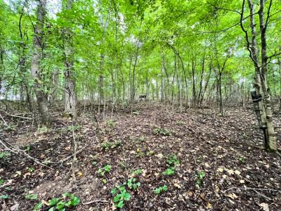 3.78 Acres Flicker Way, Athens, Alabama 35614, Stati Uniti