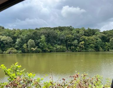3.78 Acres Flicker Way, Athens, Alabama 35614, Stati Uniti