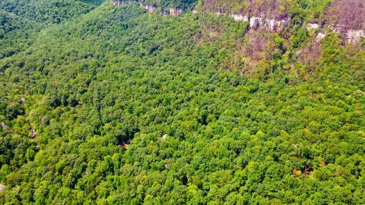 1 Woodcock Rd 1, Dunlap, Tennessee 37327