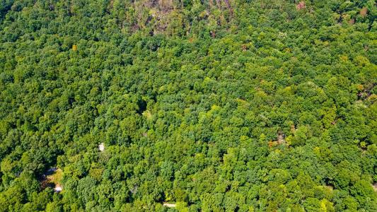 1 Woodcock Rd 1, Dunlap, Tennessee 37327