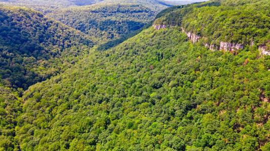 1 Woodcock Rd 1, Dunlap, Tennessee 37327