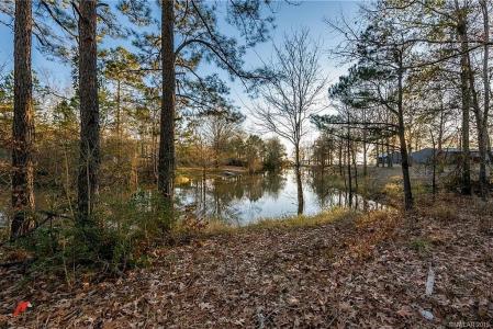 45 West Cove Court, Converse, ルイジアナ 71419, アメリカ合衆国