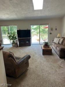 47225 Tomahawk Drive, Negley, Ohio 44441, Estados Unidos