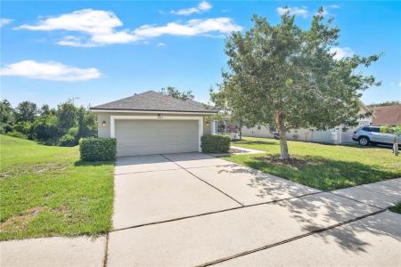 3033 TWINLEAF AVENUE, DELTONA, 佛罗里达州 32725, 美国