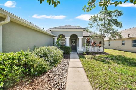 3033 TWINLEAF AVENUE, DELTONA, 佛罗里达州 32725, 美国
