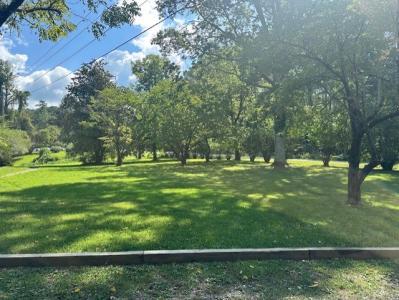 0 Call Wright Road, Ellijay, Géorgie 30540, États-Unis