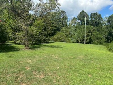 0 Call Wright Road, Ellijay, Géorgie 30540, États-Unis