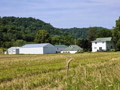 47298 Honey Bee Farm Road, Gays Mills, 威斯康辛州 54631, 美国