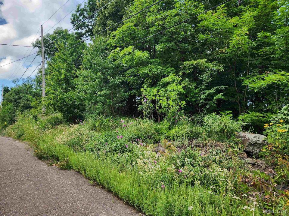 TBD 16 & 17 Calverley, Houghton, Michigan 49931, Stati Uniti