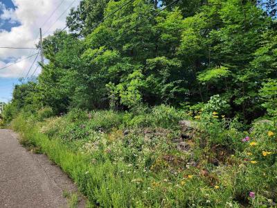 TBD 16 & 17 Calverley, Houghton, Michigan 49931, Stati Uniti