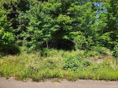 TBD 16 & 17 Calverley, Houghton, Michigan 49931, Stati Uniti