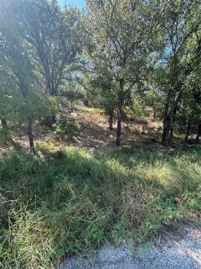 TBD Sam Houston, Mineral Wells, טקסס 76067, ארצות הברית של אמריקה