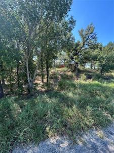 TBD Sam Houston, Mineral Wells, טקסס 76067, ארצות הברית של אמריקה