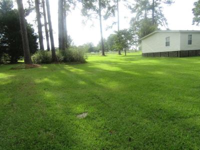 196 Griffin Houston Rd., Poulan, Georgia 31781, Amerika Birleşik Devletleri