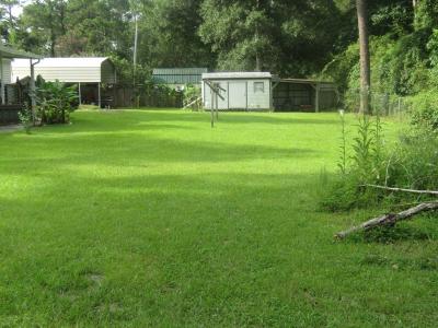 196 Griffin Houston Rd., Poulan, Georgia 31781, Amerika Birleşik Devletleri