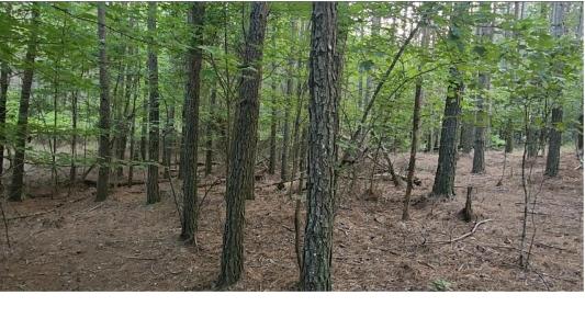 0 High Point Lane, Jasper, Tennessee 37347