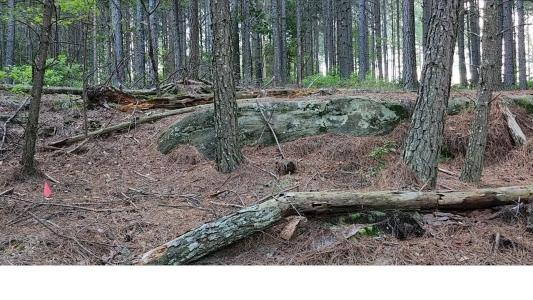 0 High Point Lane, Jasper, Tennessee 37347