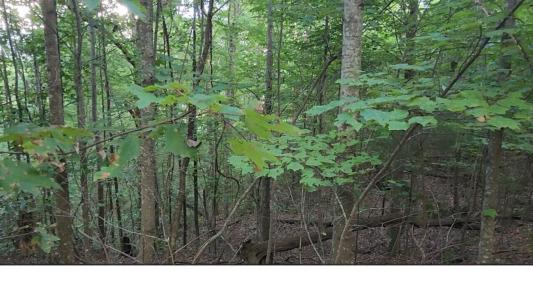 0 High Point Lane, Jasper, Tennessee 37347