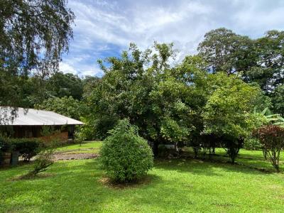 Chachagua , Peñas Blancas San Ramón, 阿拉胡埃拉 20213, 哥斯达黎加