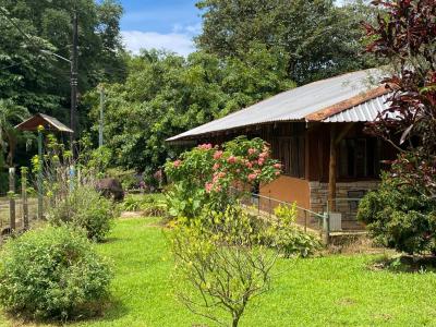 Chachagua , Peñas Blancas San Ramón, 阿拉胡埃拉 20213, 哥斯达黎加