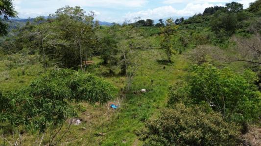Tuis Turrialba, Cartago 30507, Costa Rica