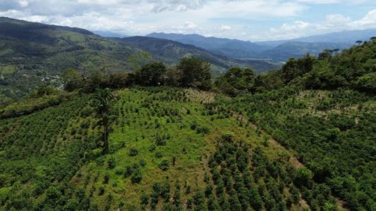 Tuis Turrialba, Cartago 30507, Costa Rica