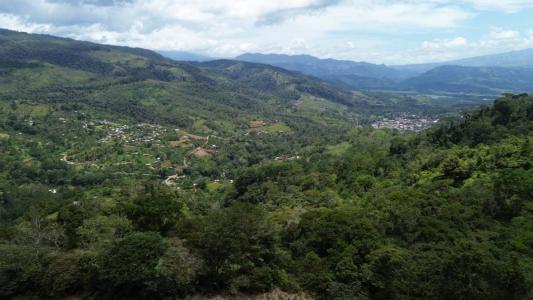 Tuis Turrialba, Cartago 30507, Costa Rica