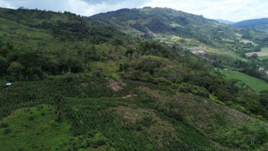 Tuis Turrialba, Cartago 30507, Costa Rica