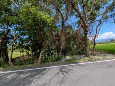 柯林一段, Dongshan Township, 宜兰 269, 台湾