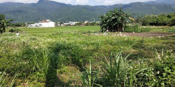 中崙段, Toucheng Township, Yilan City 261, Taiwan