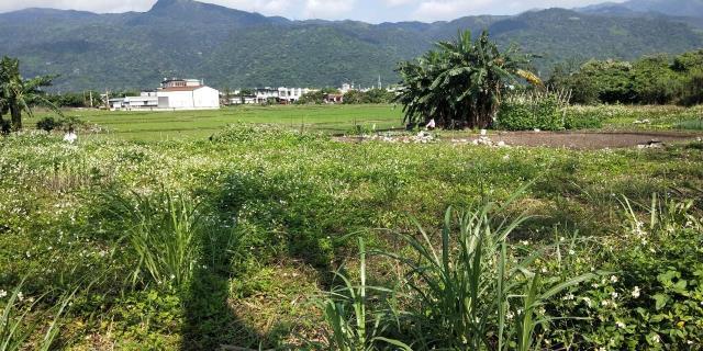 中崙段, Toucheng Township, Yilan 261, Taiwan