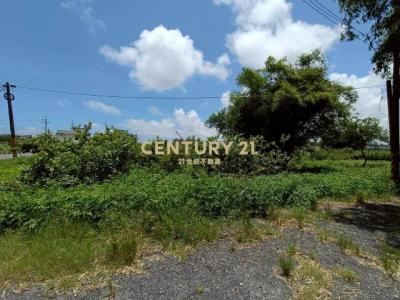 新福成段, Toucheng Township, 宜兰 261, 台湾