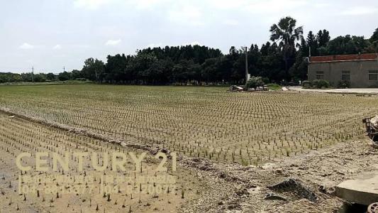 南興段, Puyan Township, Changhua County 516, Taiwán