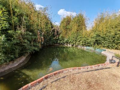 Bushbuckridge, Mpumalanga, South Africa