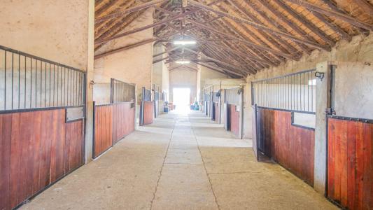 White River, Mpumalanga, Südafrika