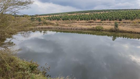 White River, Mpumalanga, Südafrika