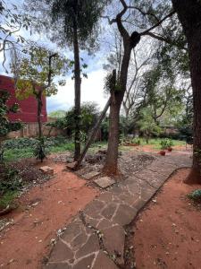 Paraisos y Taji , San Lorenzo, Central 00001, Paraguay