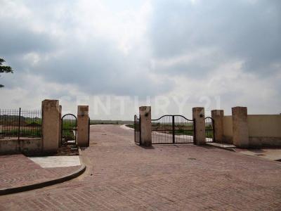 CIRCUITO MINERAL DE ORO 77,, León, Guanajuato 37693, Mexico