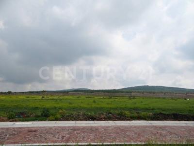 CIRCUITO MINERAL DE ORO 77,, León, Guanajuato 37693, Mexico