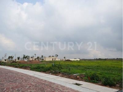 CIRCUITO MINERAL DE ORO 77,, León, Guanajuato 37693, Mexico