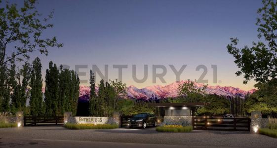 Ruta 86 2818, Tupungato, Mendoza 5561, ארגנטינה