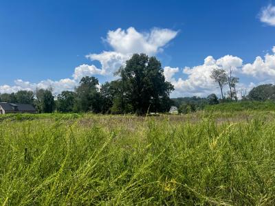 0 Leeward Drive, Jasper, Tennessee 37347