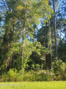 225 Carteret Rd, Georgetown, Florida 32139, Amerika Birleşik Devletleri