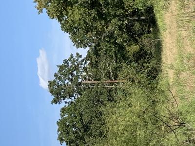 TBD CR 1886, Sunset, Texas 76270, Estados Unidos