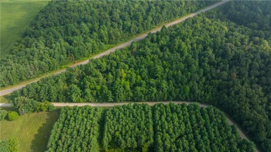 +/- 13 Acres County B / Monthei Rd., Fairchild, Wisconsin 54741, USA